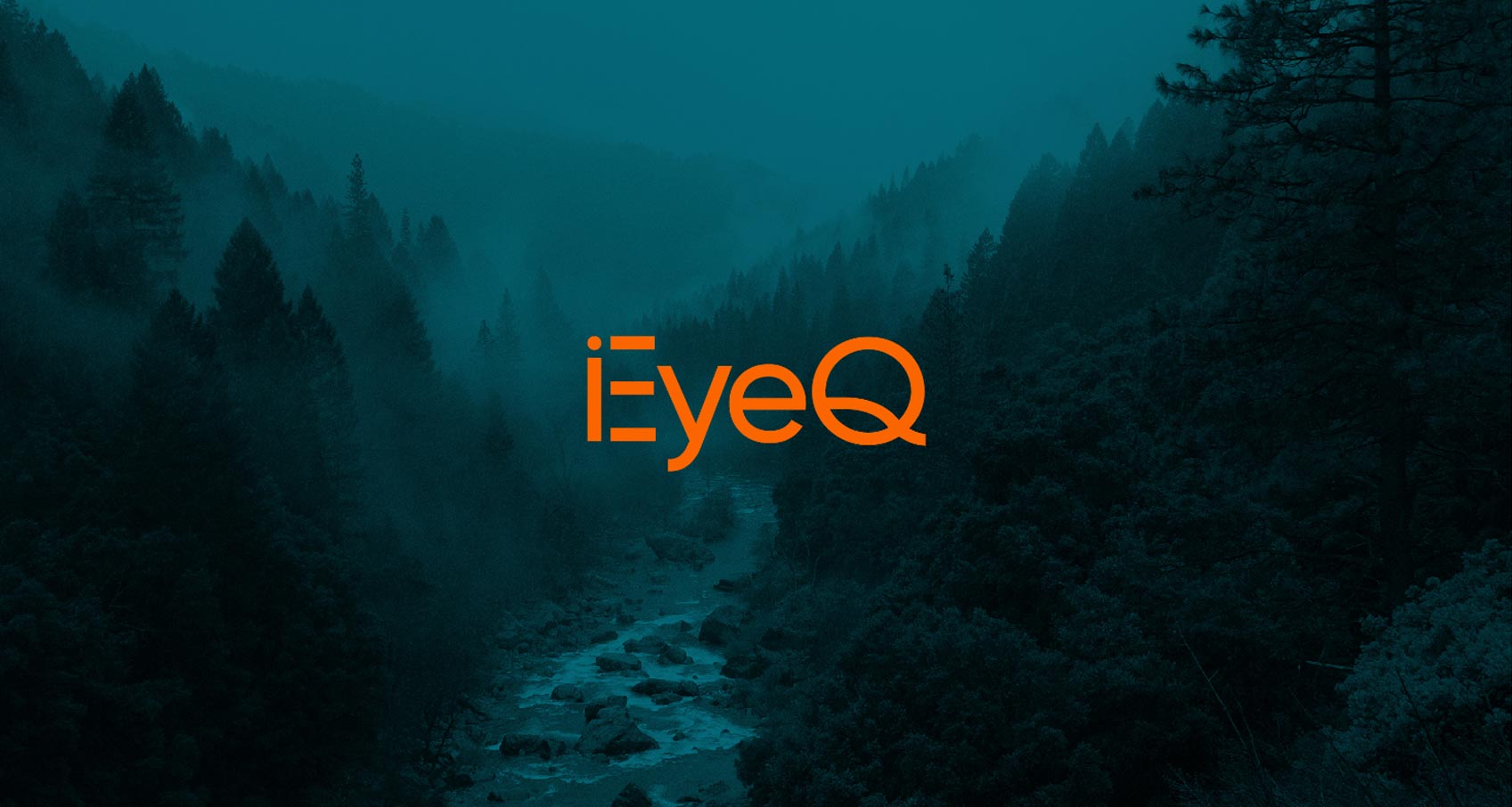 EyeQ
