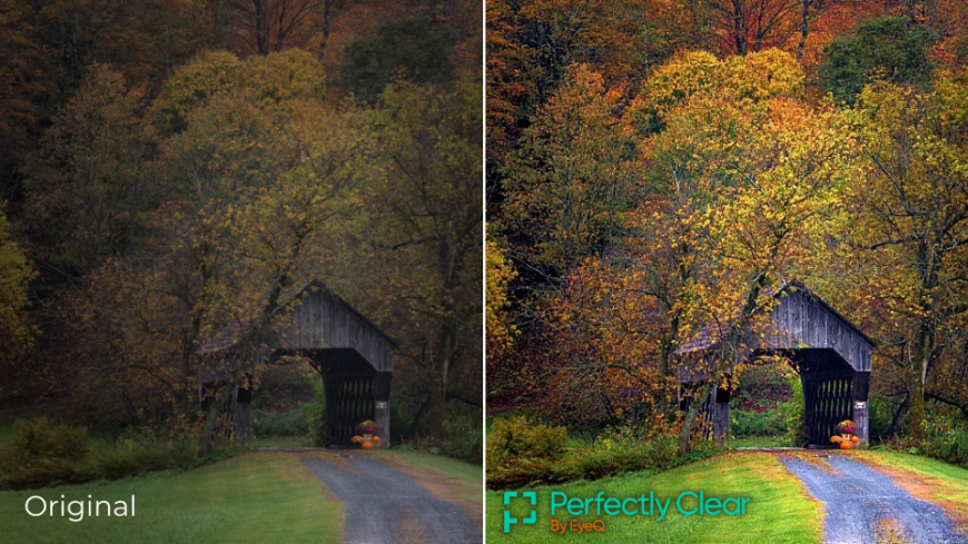 before an after image of fall day showing how to photograph falling leaves
