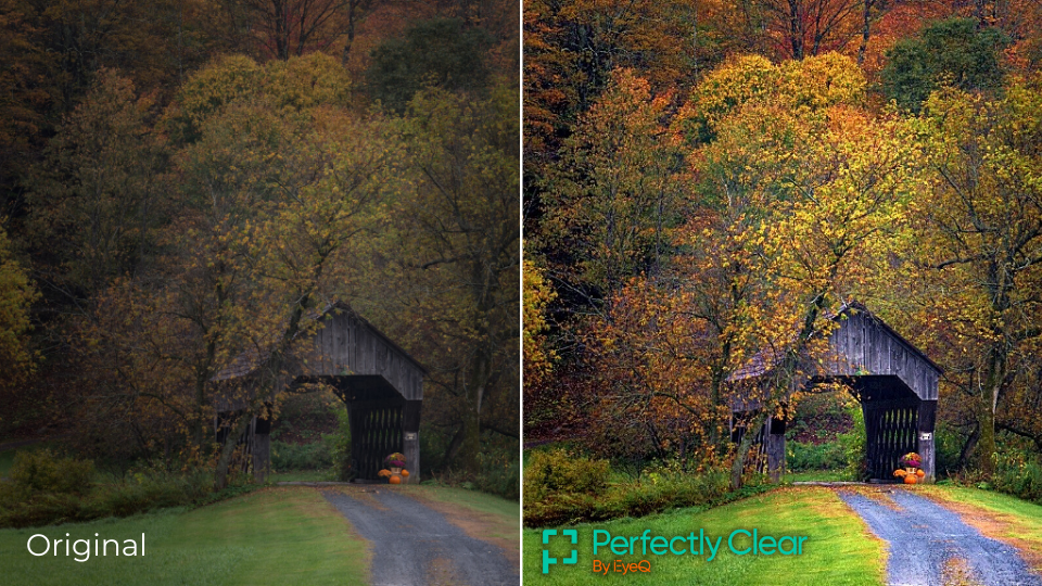 here-s-how-to-photograph-falling-leaves-eyeq