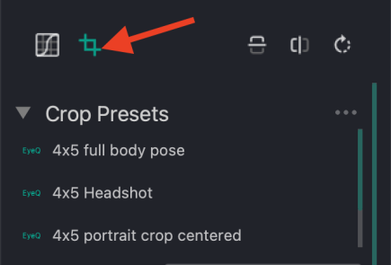 How do I export my Crop Presets? | EyeQ